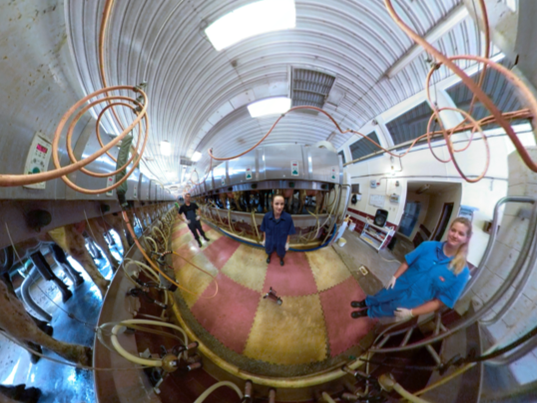 Milking parlor