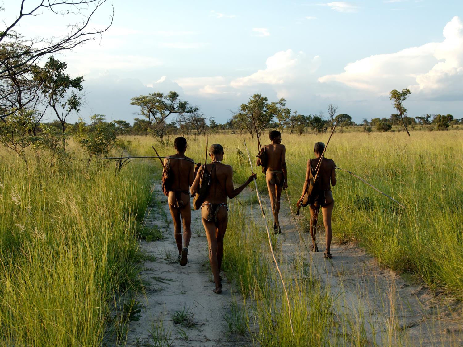 Members of the Ju:'hoansi tribe foraging