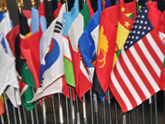 World Flags
