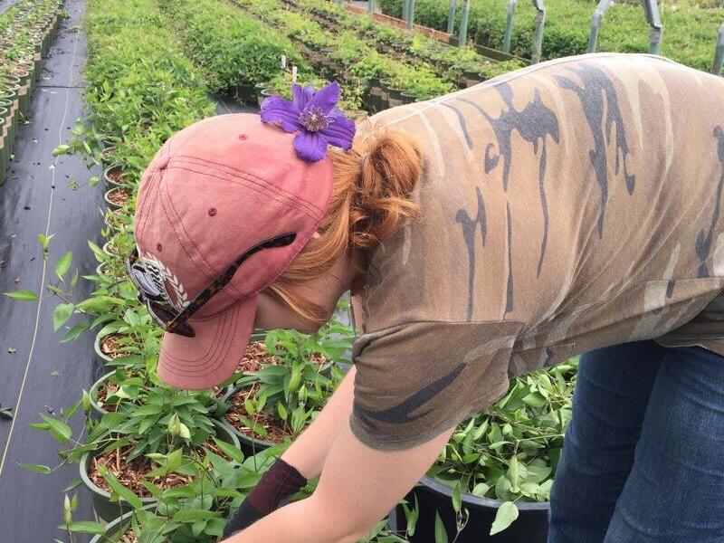 Plant Sciences major internship