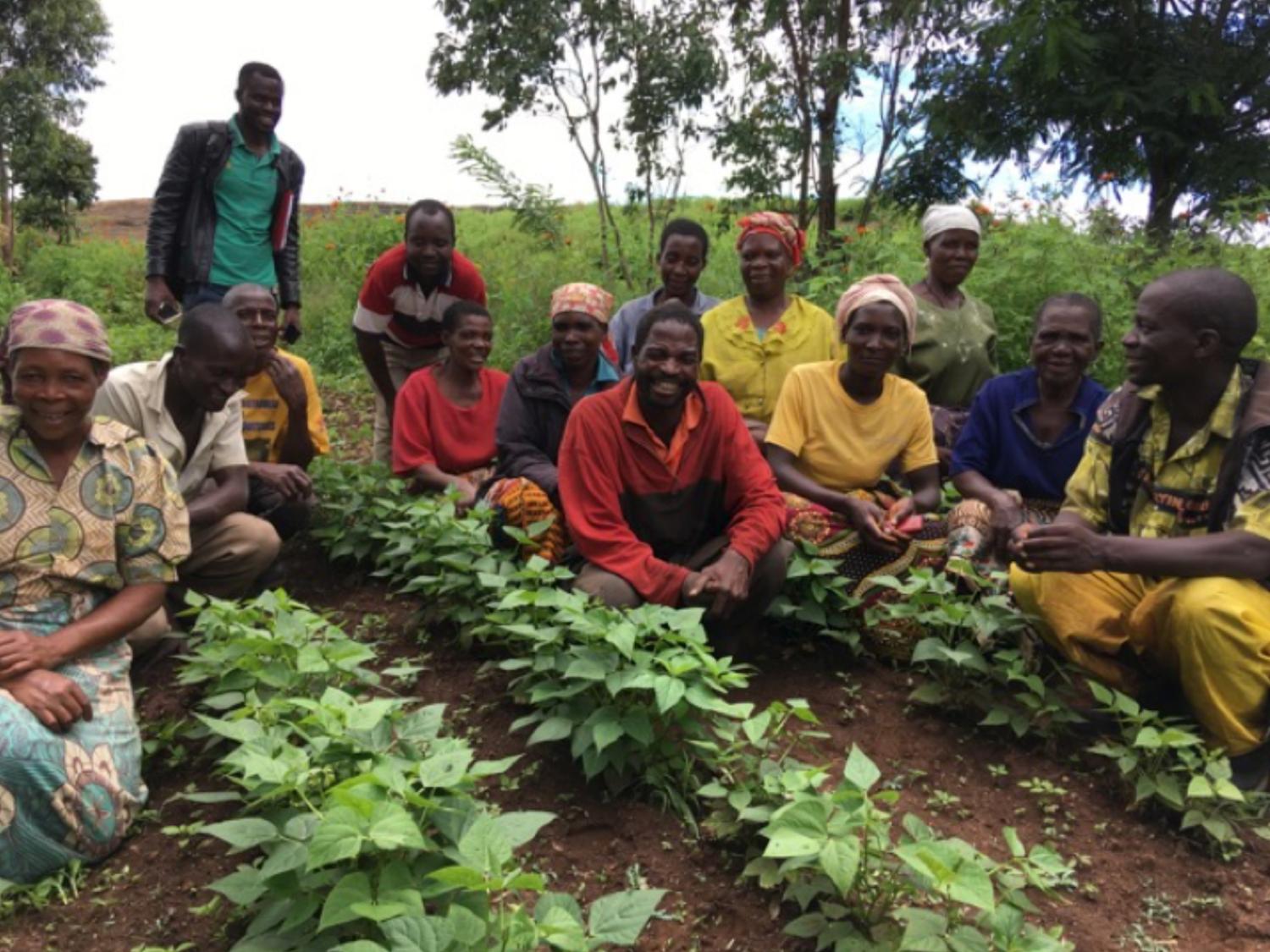 African farmers