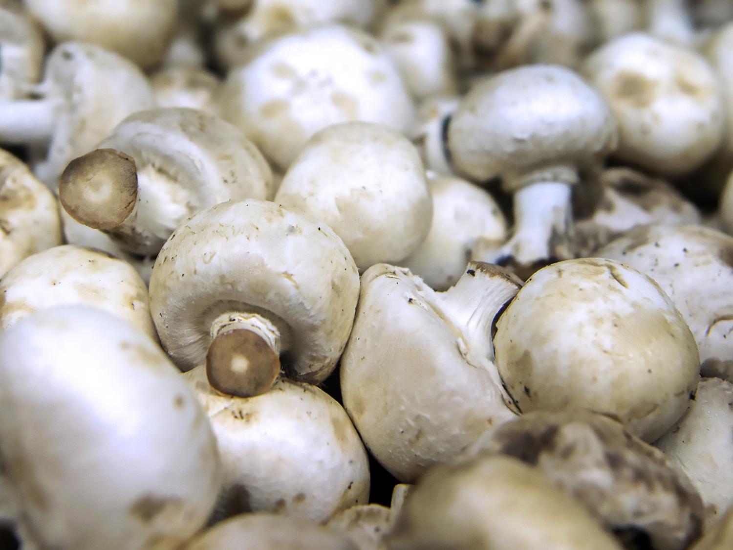white mushrooms