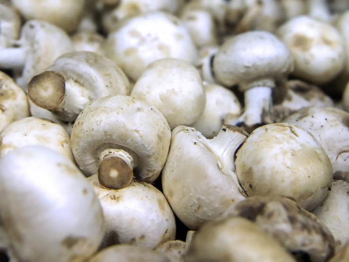 bunch of shrooms