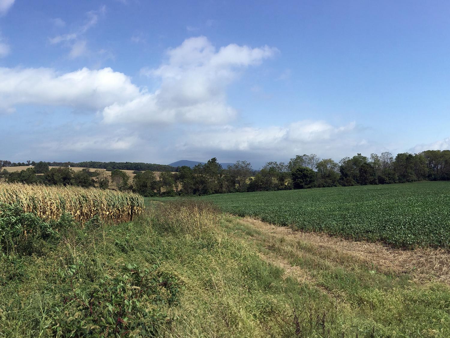 Panorama of Musser Gap with corn and soybean farms