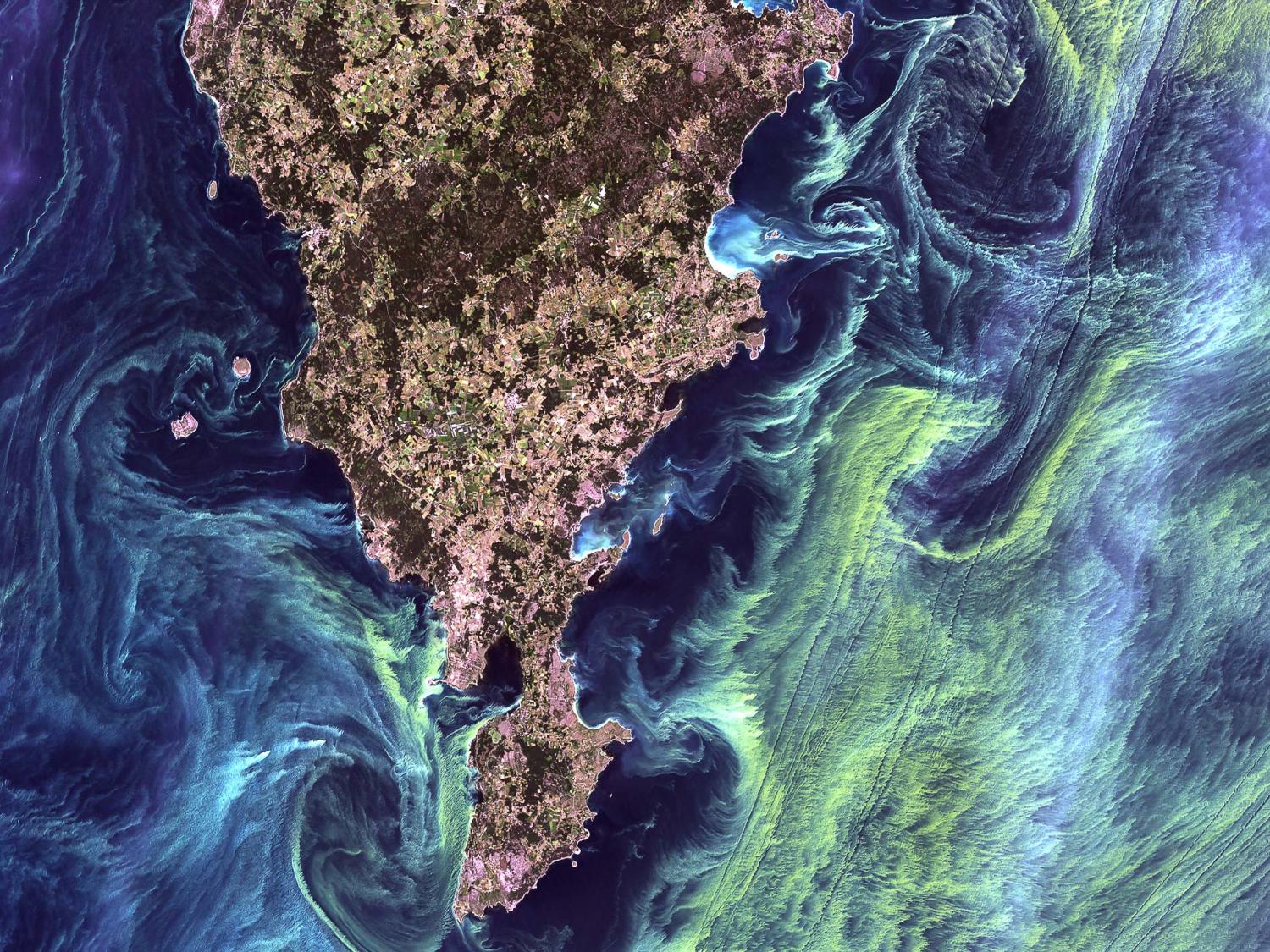 A photo of a Swedish island taken from space