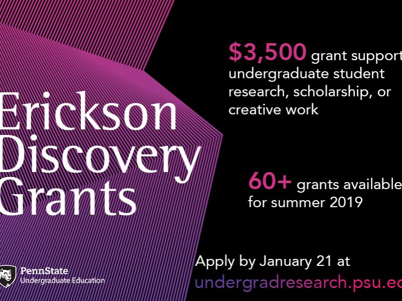 Erickson Discovery Grant info graphic