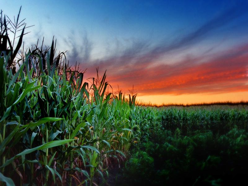 header photo, James Jordan