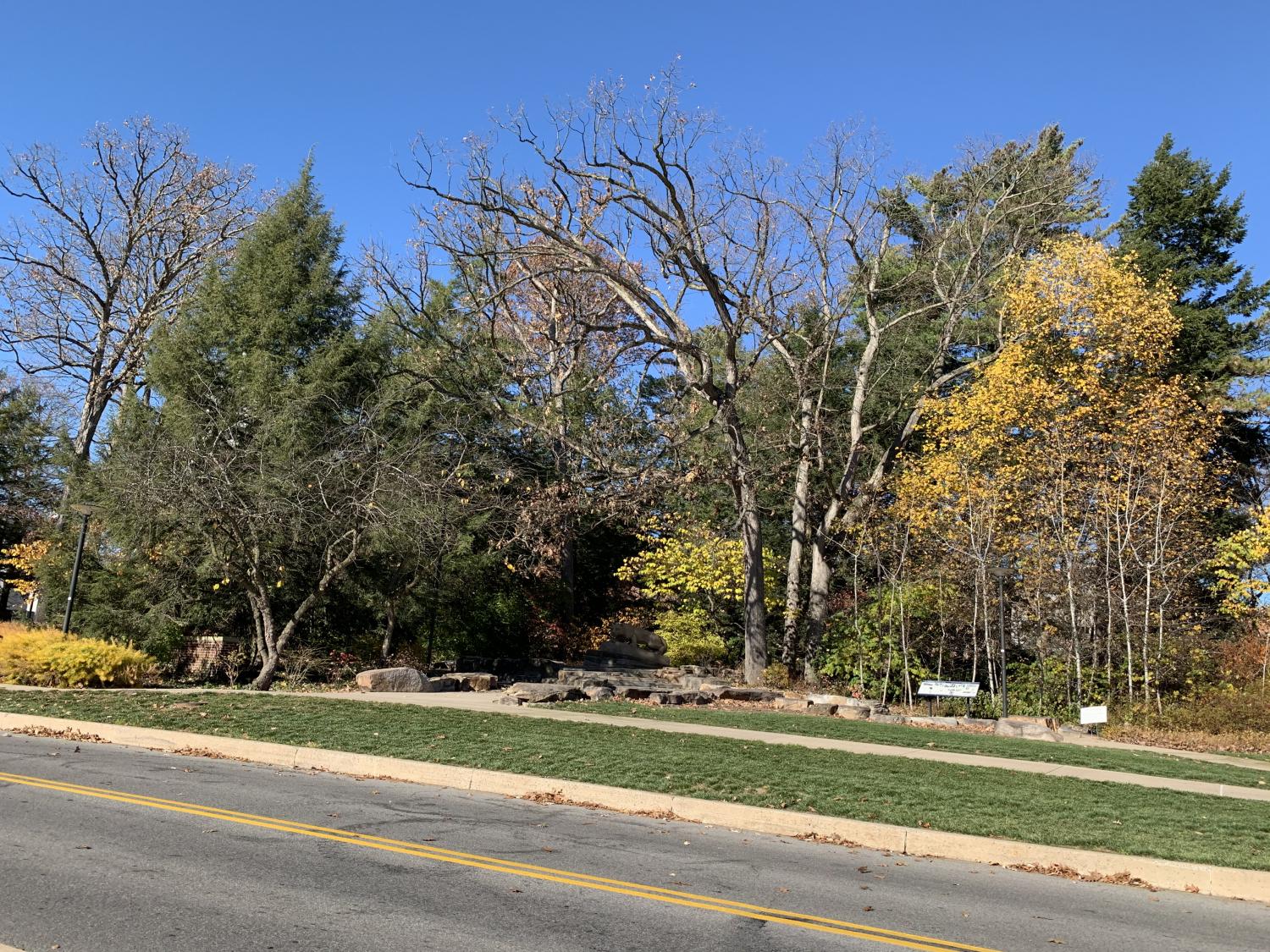Oaks at Nittany Lion Shrine