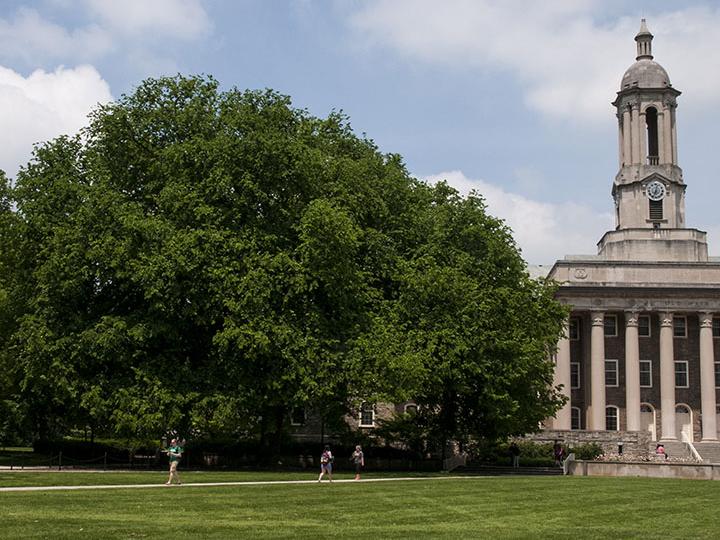 Elm by Old Main
