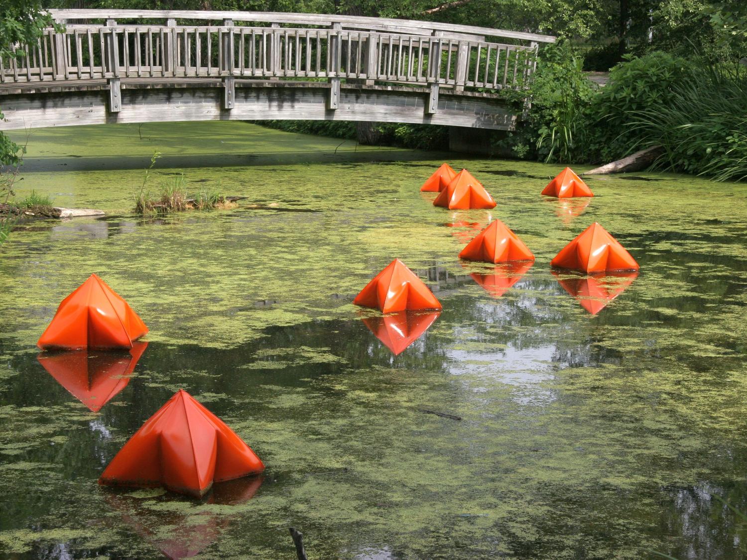 Arboretum art - orange seed pods