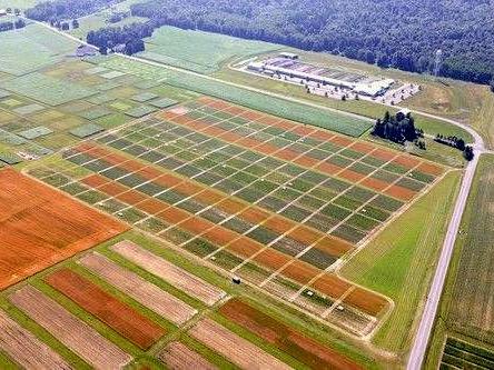 Organic crop research plots