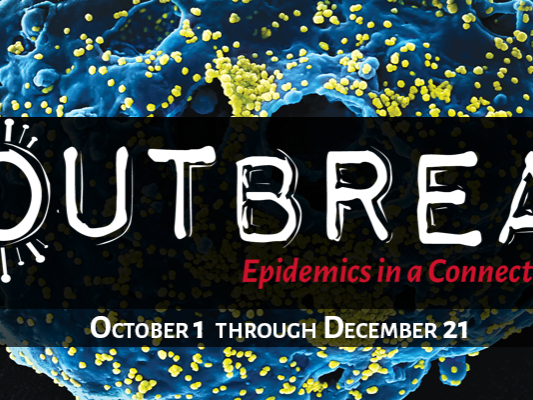 Smithsonian National Museum of Natural History features a virus close-up (on the microscopic level!) for their "Outbreak" exhibit.