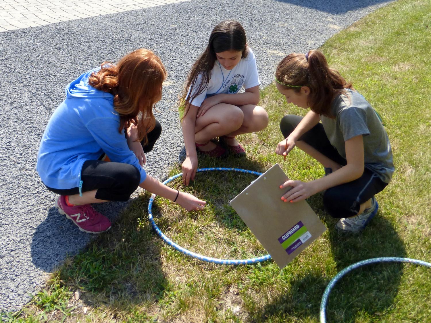 invasive species project