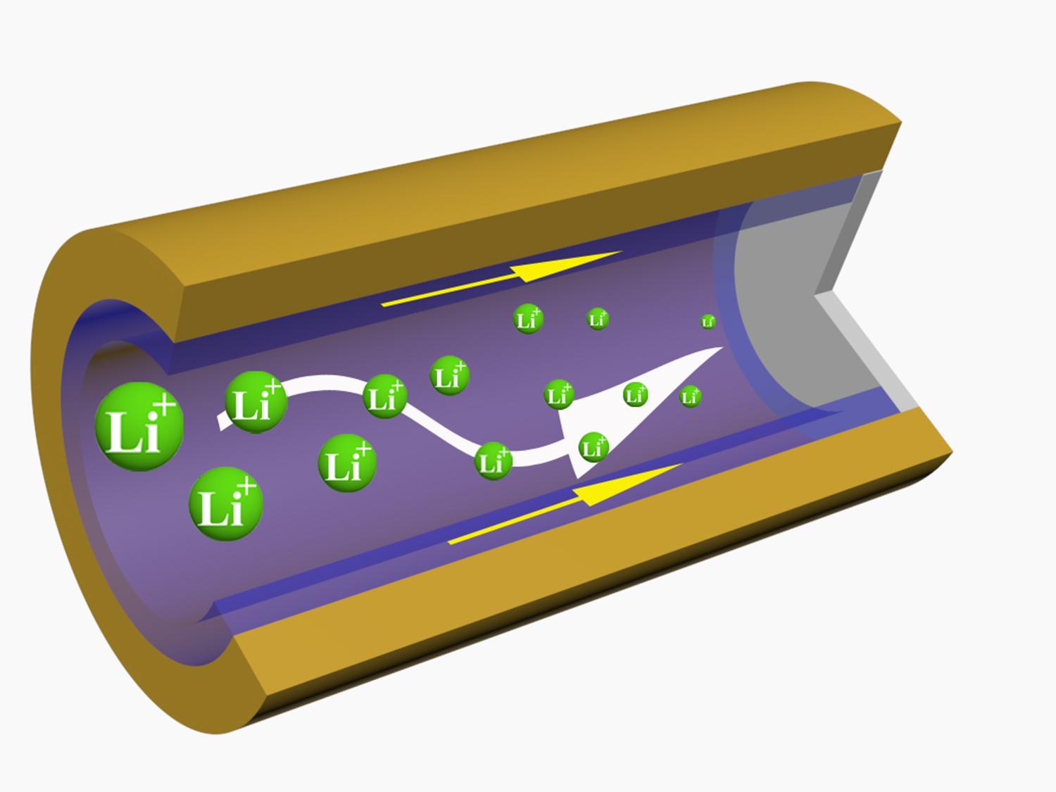 Li battery interior