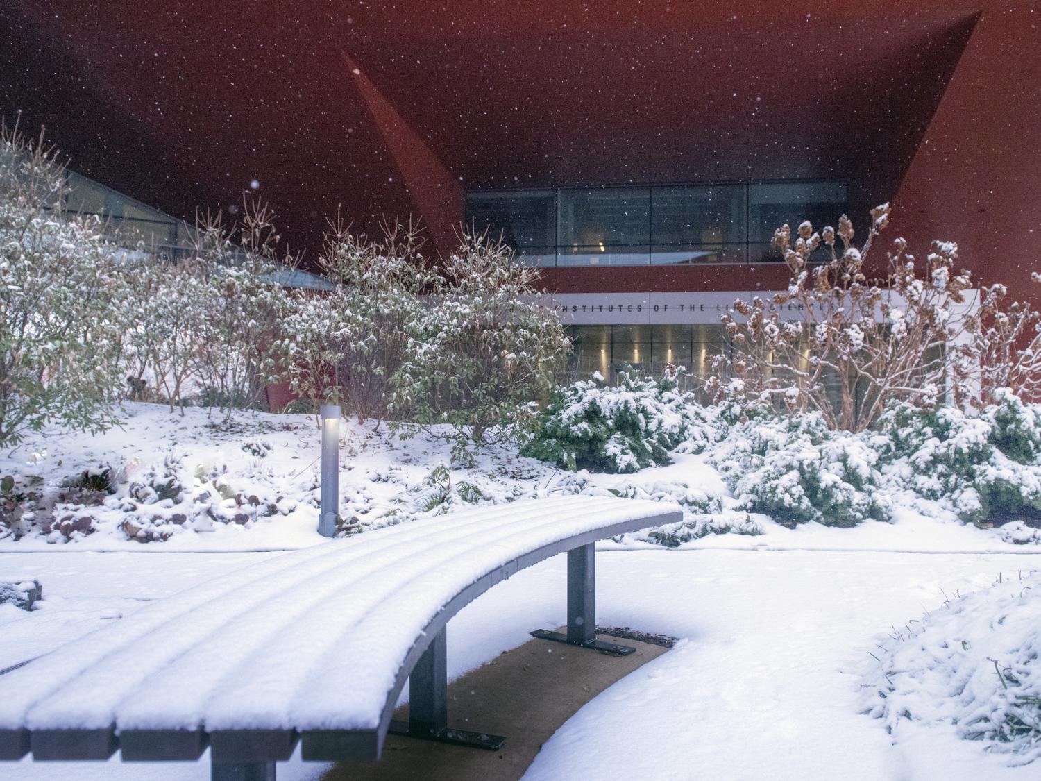Snow at Millennium