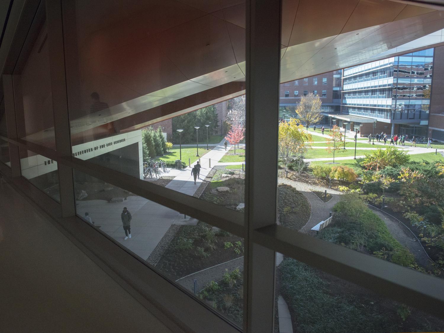 Garden at Millennium Science Complex