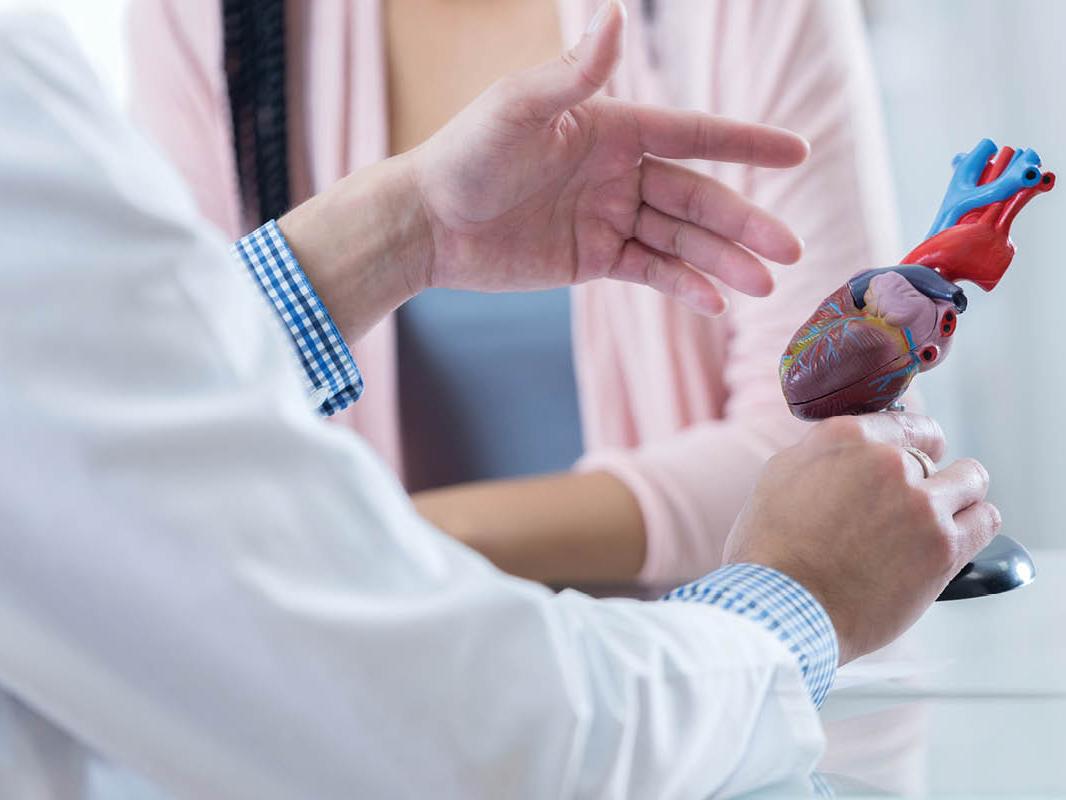 Close-up of a man in a white physician’s coat, holding a small model heart with his right hand and gesturing to it with his left hand. A woman is seated across from him.