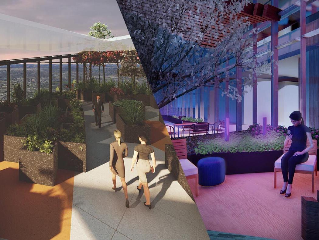 A split image of the design solutions developed by the two teams of landscape architecture students in the summer landscape architecture studio. 