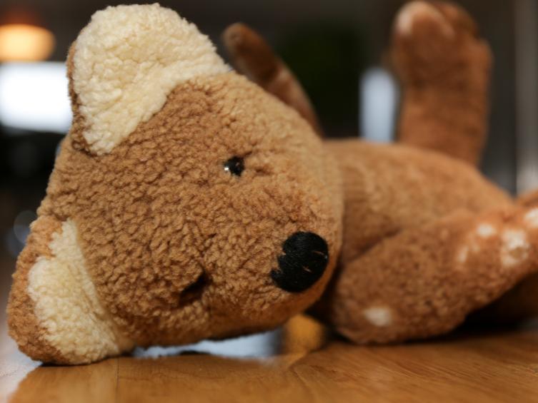 teddy bear on floor