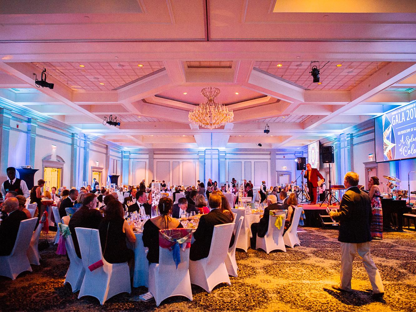 Guests at the Gala in 2017