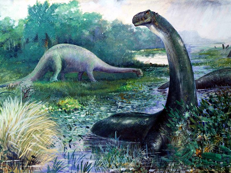 Charles R. Knight’s 1897 illustration of a Brontosaurus (nowadays called Apatosaurus).