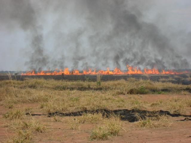 pasture fire