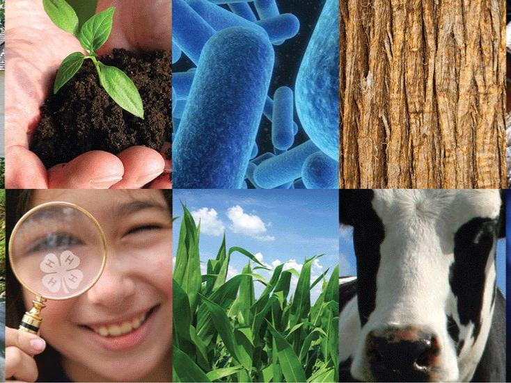 Penn State Extension image collage