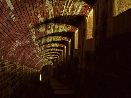 Perches and Light by Staci Grimes