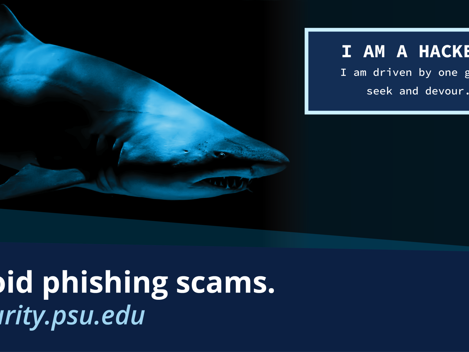 Image of shark.