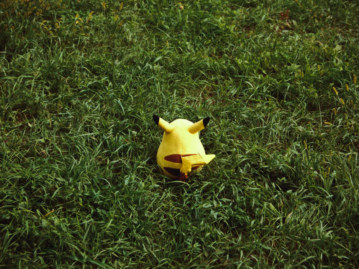 A Pikachu stuffed animal is shown in the grass.