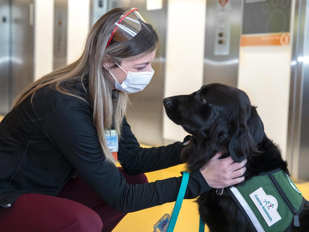 Stacy Gloudemans crouches down and places her hands on the back of Pilot, a facility dog, who wears a service vest. Elevators are in the background.