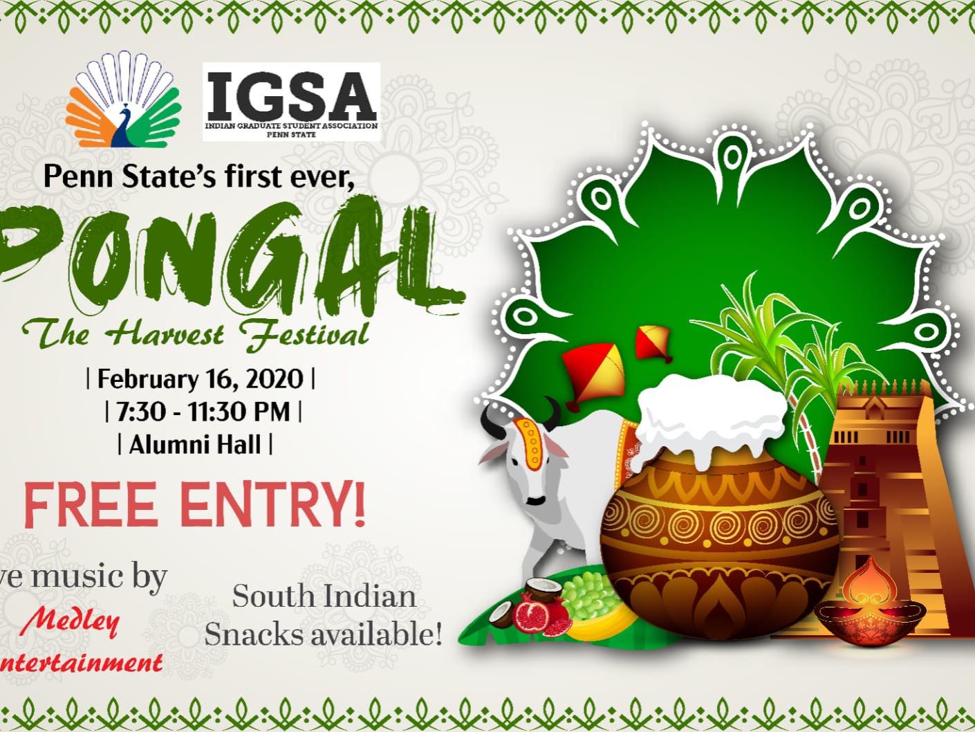 Pongal Festival graphic