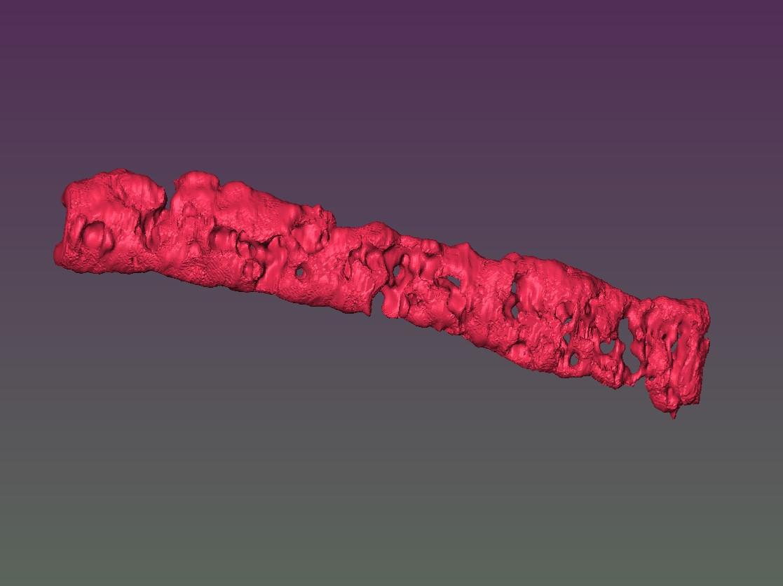 porous tissue strand