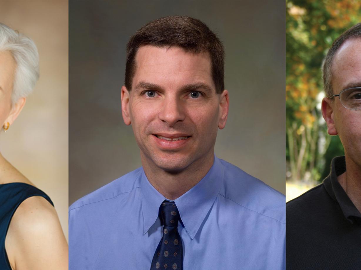 Nina G. Jablonski, B. Franklin Pugh and Andrew F. Read