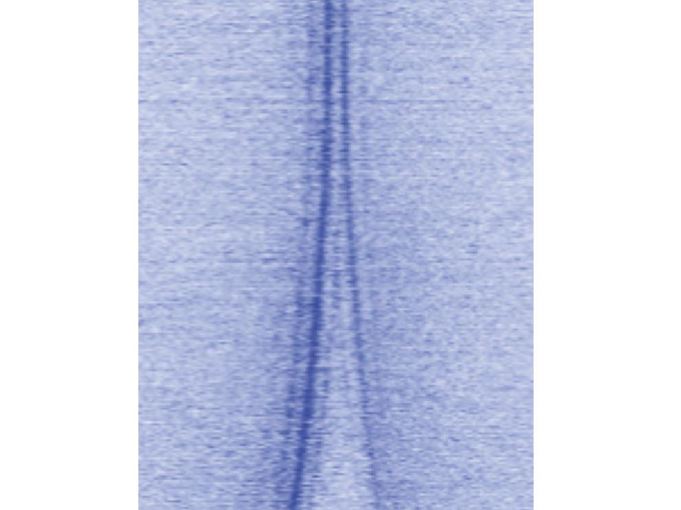 This image shows the binding profile of chromatin remodelers on 12,000 distinct genes.