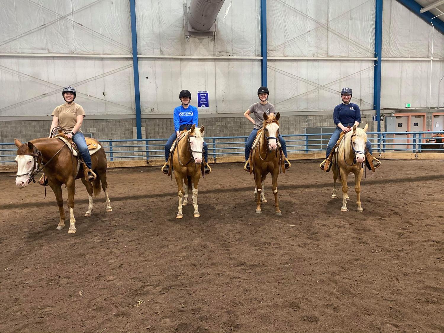 Penn State Quarter Horse Sale header