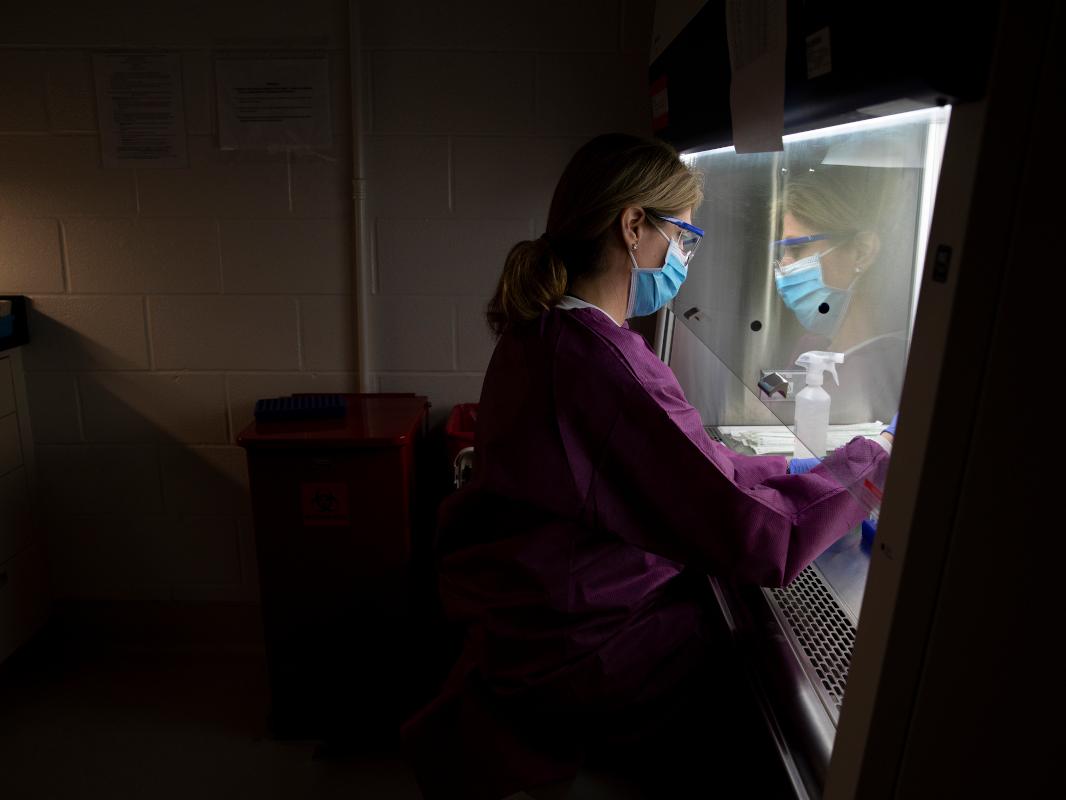 A woman divides blood samples in a bio safety room