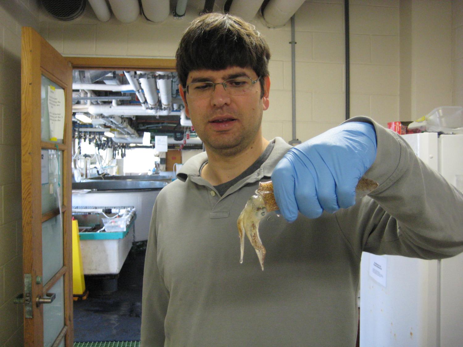 man with blue glove holds a squid