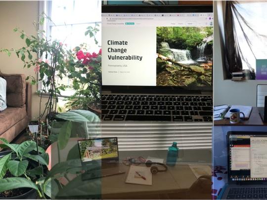 remote learning collage