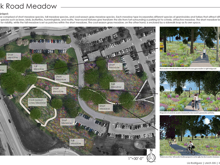 A student’s illustration of the Oak Road Meadow project site that shows how each piece of land could be altered for the project. 