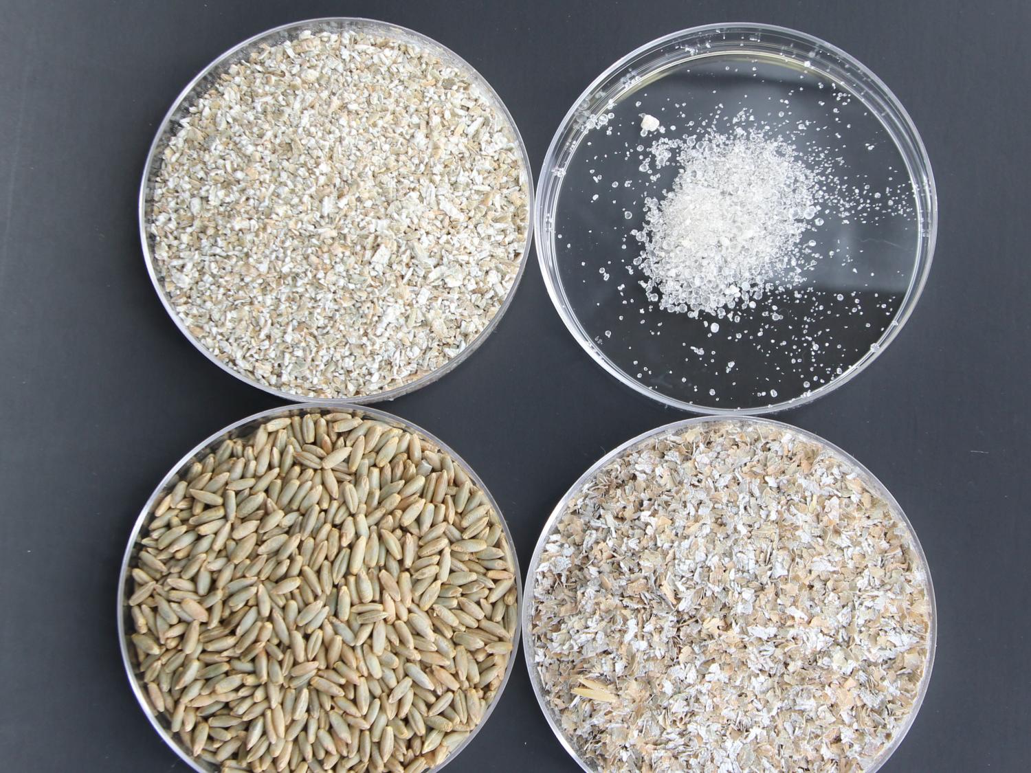 rye processing stages