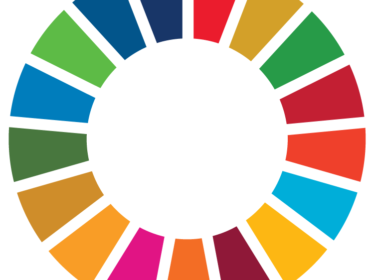 UN Sustainable Goals