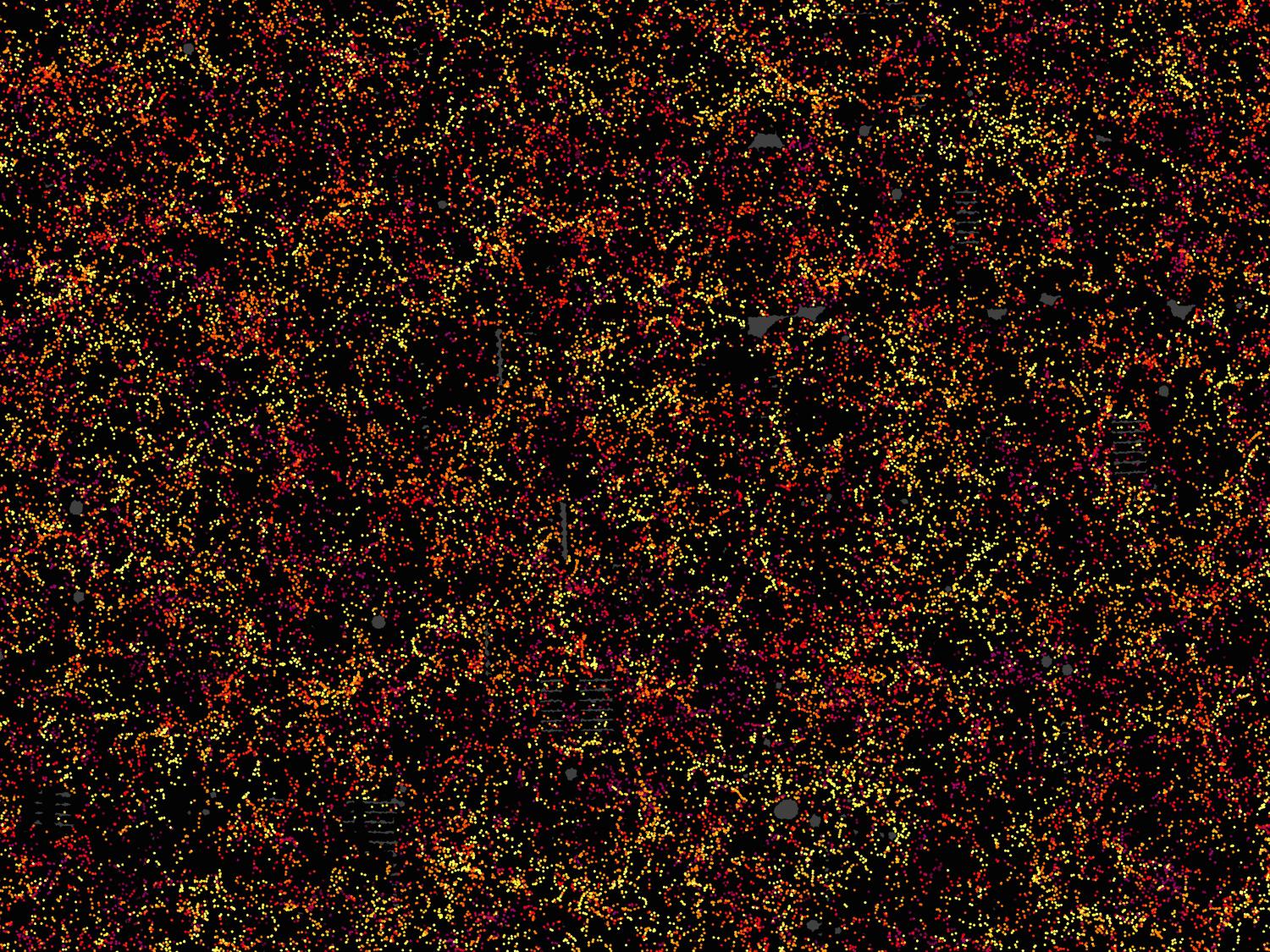 This image shows one slice through the map of the large-scale structure of the universe from the Sloan Digital Sky Survey and its Baryon Oscillation Spectroscopic Survey, released on 14 July 2016.