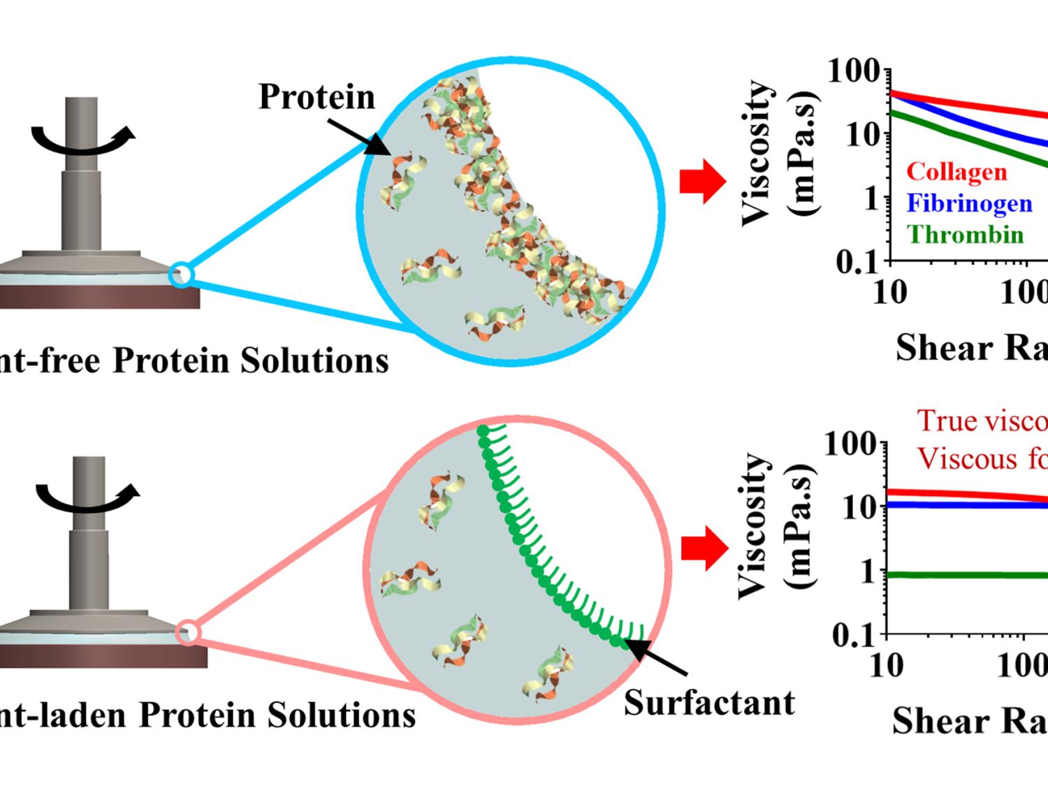 diagram of surface skin fomring