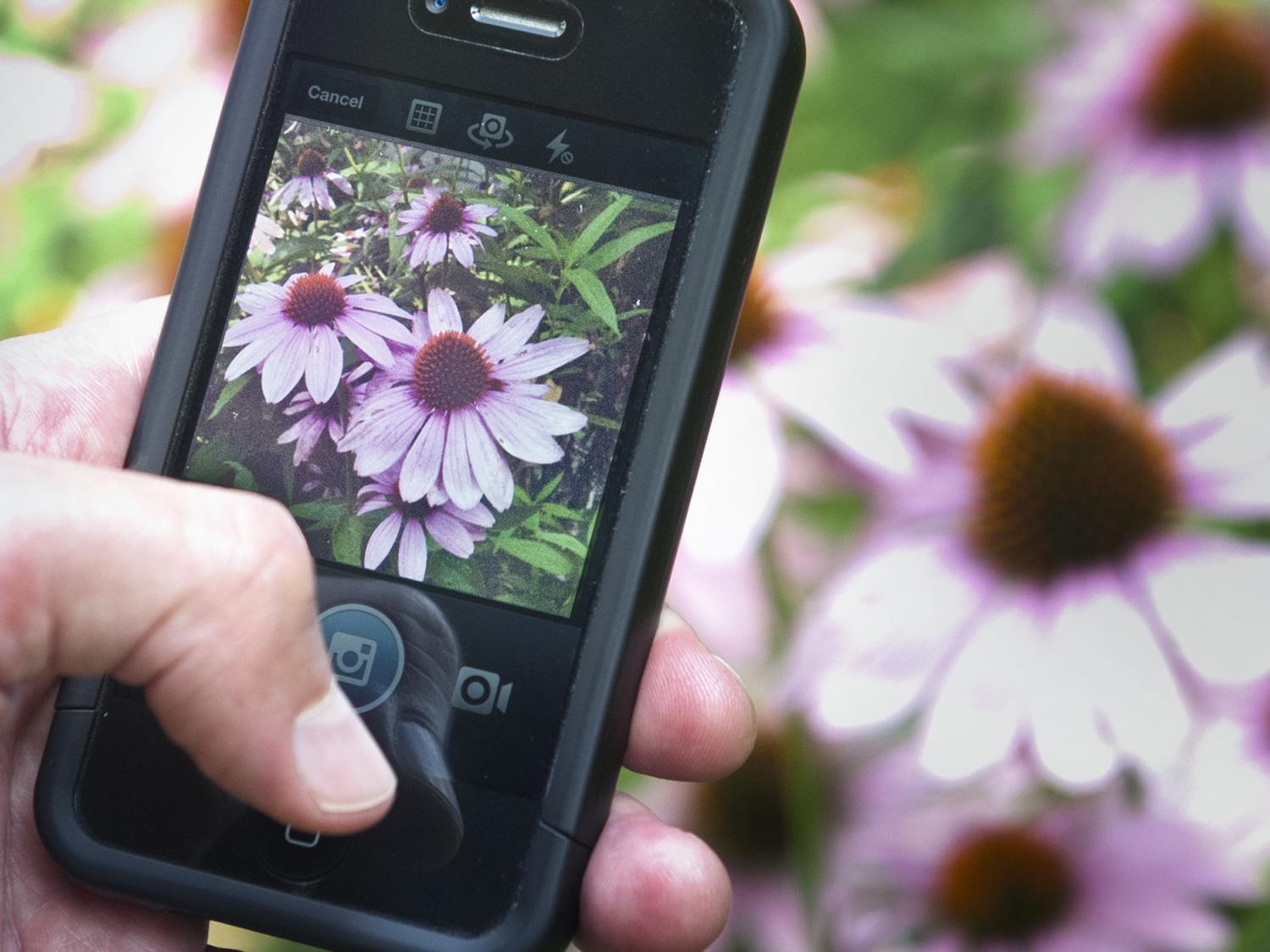 smart phone close up