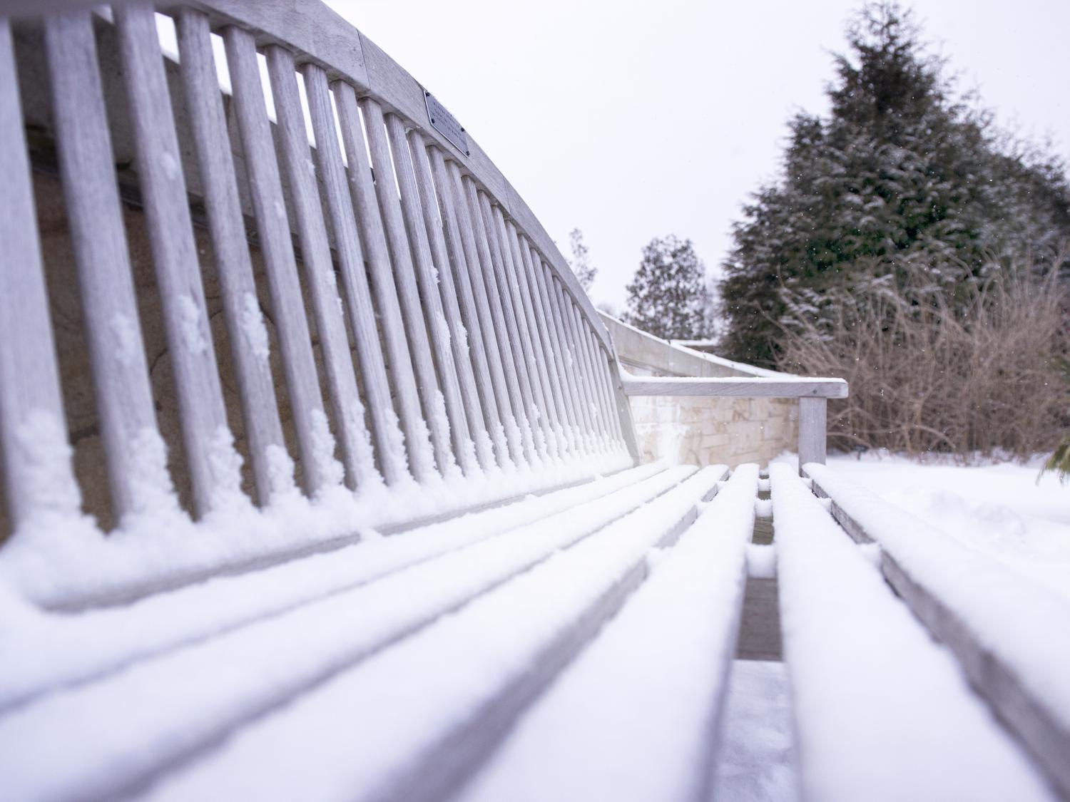 Snow on bench