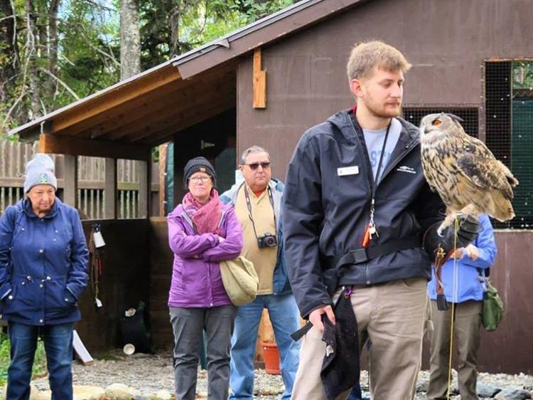 Josh Sanko runs and avian workshop in Alaska. 