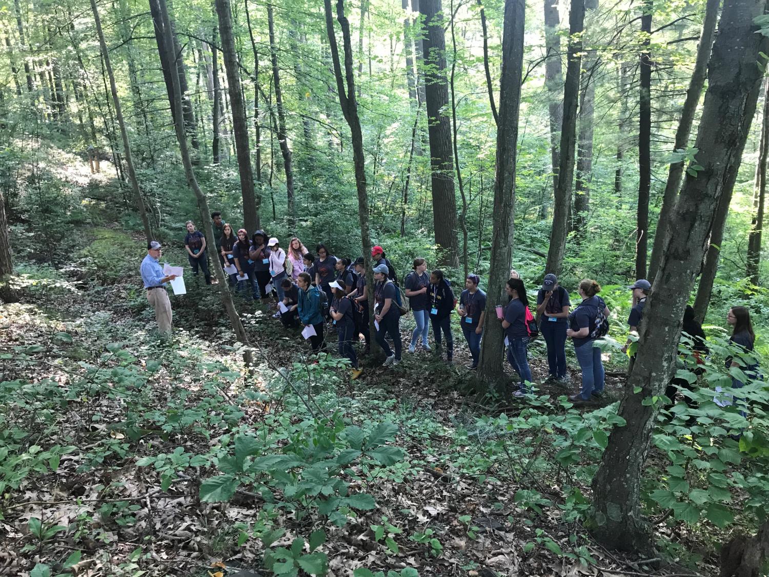 2018 School for Excellence trees