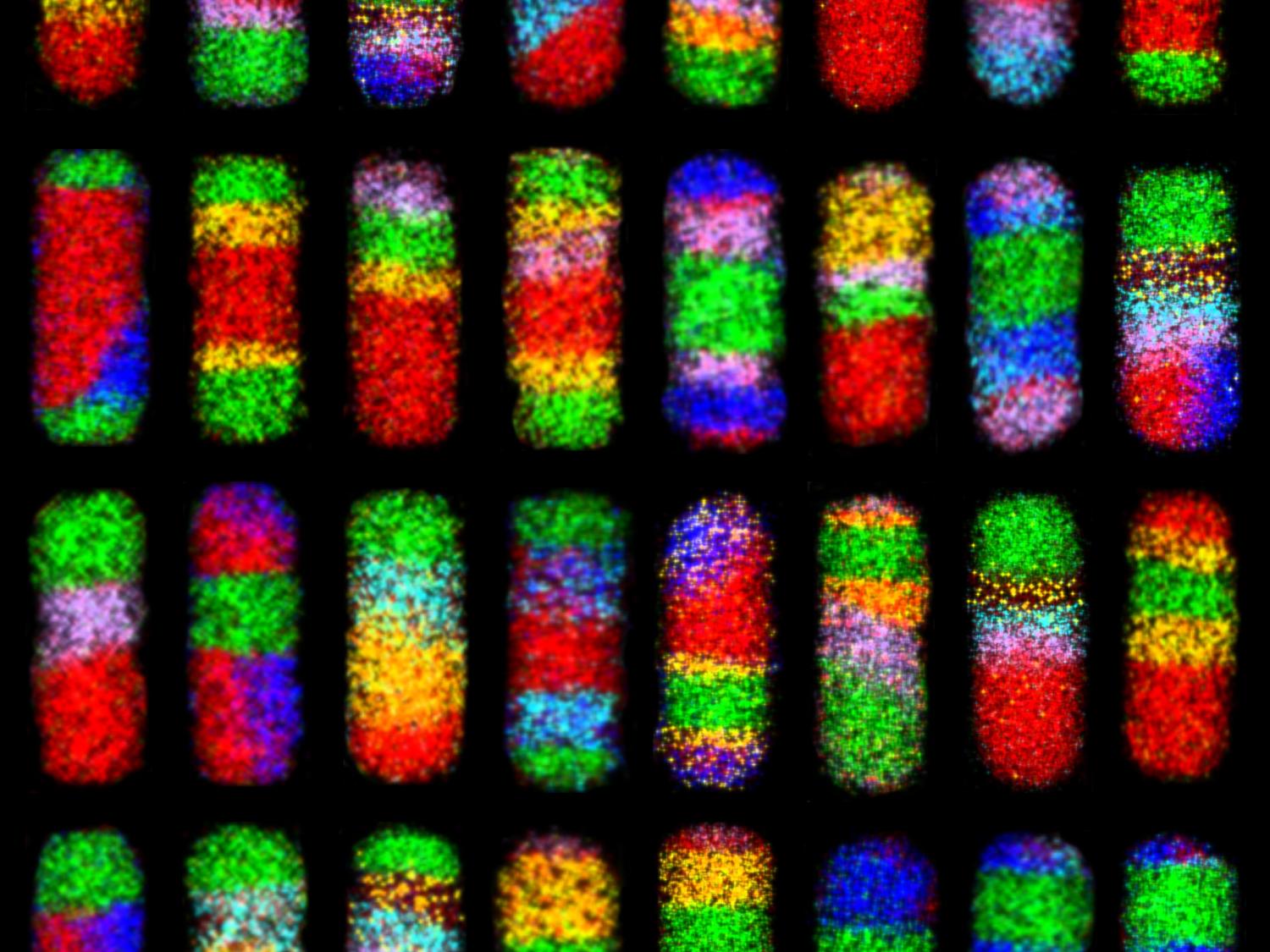 Electron microscope images of 32 of nanorods