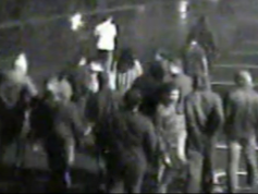 Criminal Mischief Arboretum Nov 18 2015 